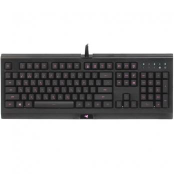 Клавиатура Razer Cynosa Lite (RZ03-02741500-R3R1)